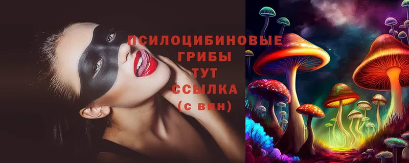 Псилоцибиновые грибы MAGIC MUSHROOMS  ОМГ ОМГ рабочий сайт  Новочебоксарск  как найти  